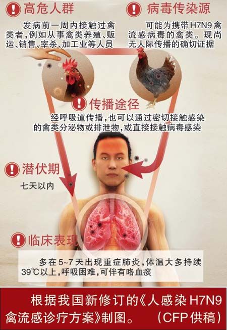 根据我国新修订的《人感染H7N9禽流感诊疗方案》制图。（CFP供稿）